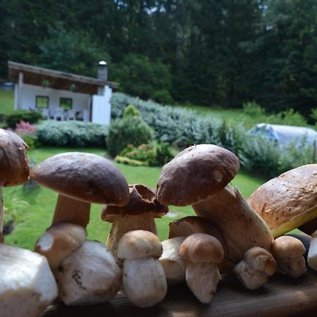 Apartmany U Vacu Zelezna Ruda Bagian luar foto