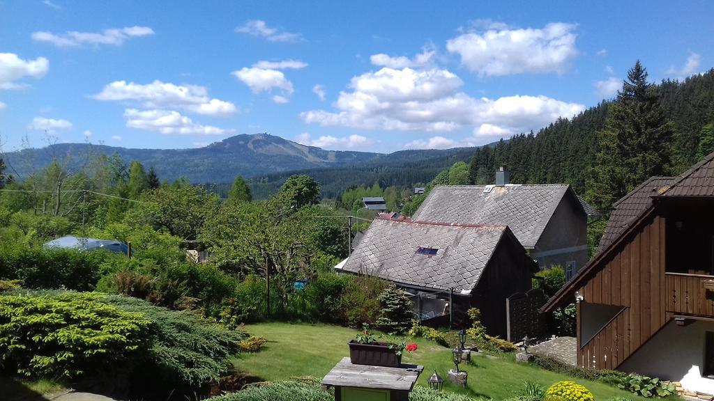 Apartmany U Vacu Zelezna Ruda Bagian luar foto